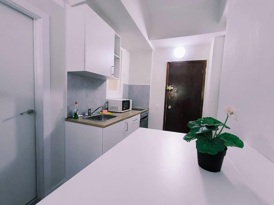 Apartamentos Carrillo 7 圣克鲁斯-德特内里费 外观 照片